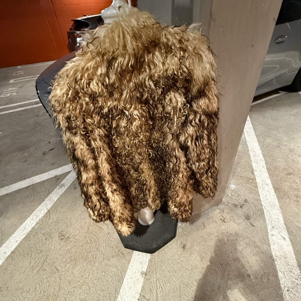 Faux Fur Coat in Brown and Black - Picture 4 of 6